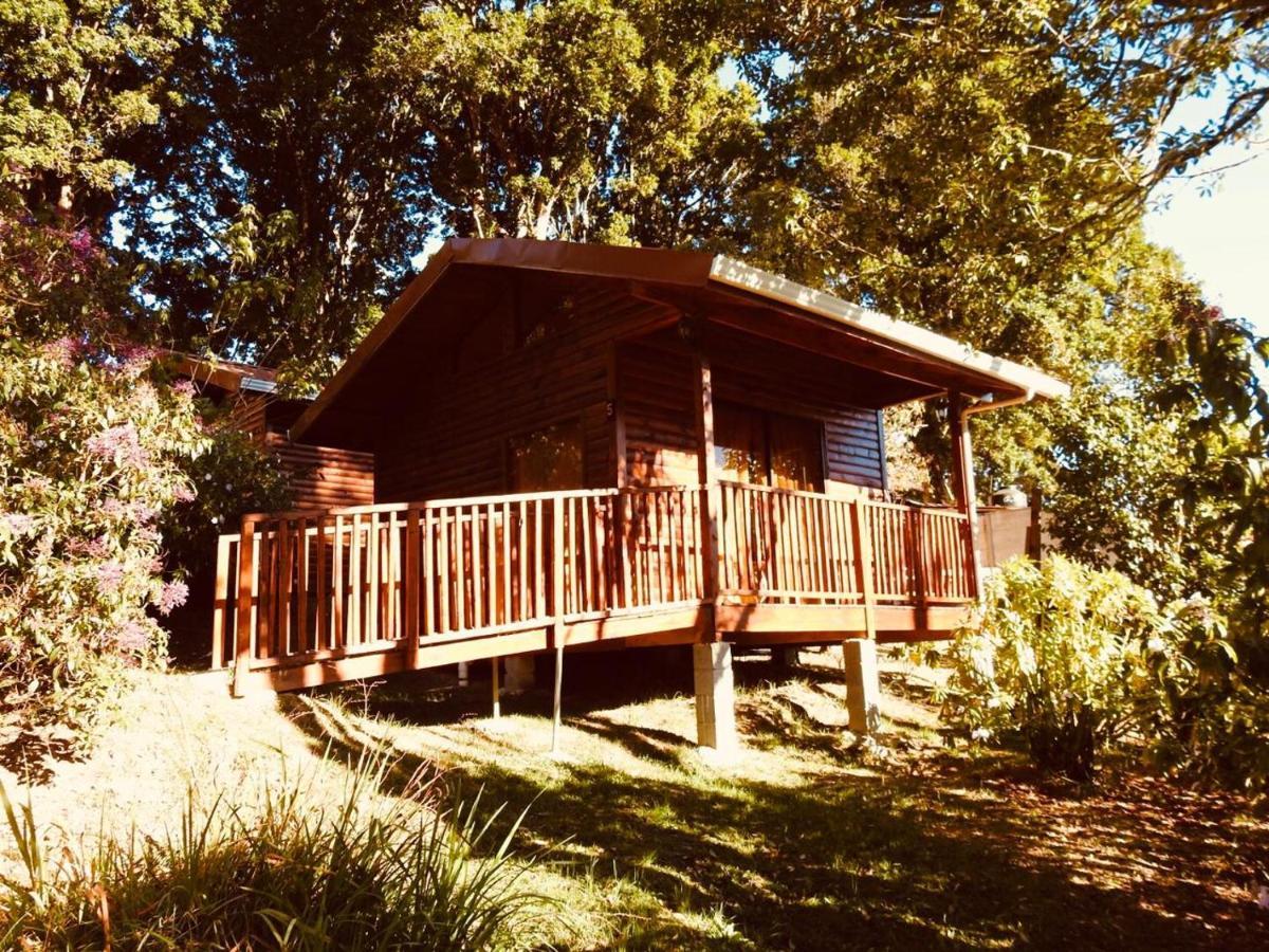 Cabanas San Gerardo San Gerardo de Dota Ngoại thất bức ảnh