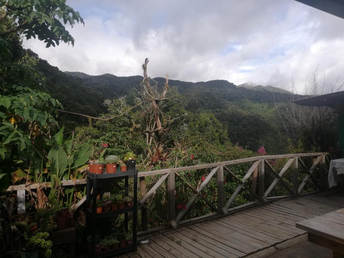 Cabanas San Gerardo San Gerardo de Dota Ngoại thất bức ảnh